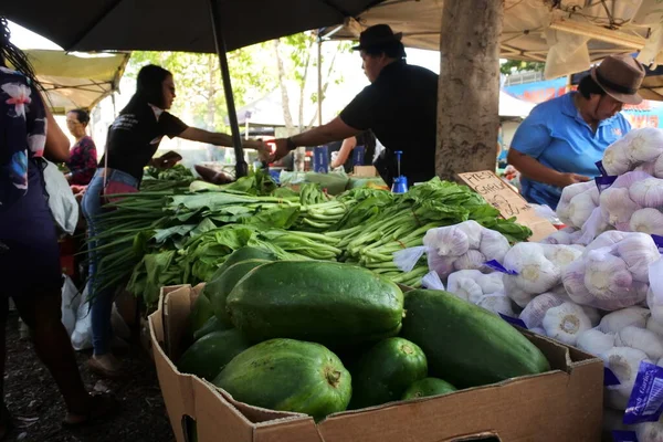 Darwin Sep 2022 Aziatische Australiërs Winkelen Een Lokale Voedselmarkt Een — Stockfoto