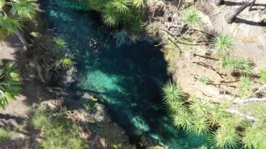 Avustralya 'nın kuzey bölgesinde Bitter Springs' te yüzen genç Avustralyalı turist kadının hava aracı manzarası..