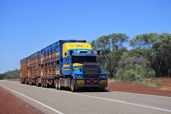 Darwin Sep 2022 Автопоезд Прицепом Крупного Рогатого Скота Австралия Является — стоковое фото