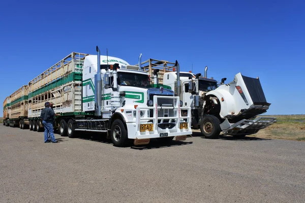 Winton Qld Sep 2022 道路用トラックを修理するオーストラリアのトラック運転手オーストラリアの運輸物流部門は 50万人以上の人々と 100億の年間収益を雇用しています — ストック写真