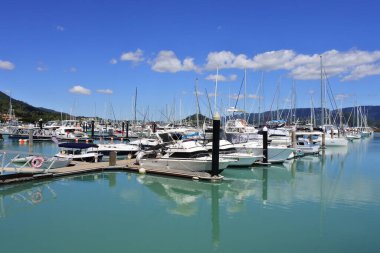 AIRLIE BEAH, QLD - OCT 02 2022: Büyük Set Resifi için en iyi kalkış noktalarından biri Queensland Australia.Airlie Sahili 'ndeki Airlie Beach sahil kasabasındaki Coral Sea Marina' da bulunan tekneler..