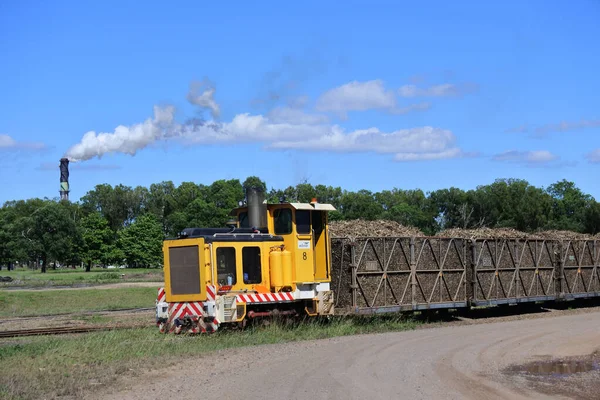 Proserpine Qld Sep 2022 Cukorültetvény Vasút Vidéki Whitsundays Queensland Ausztrália — Stock Fotó