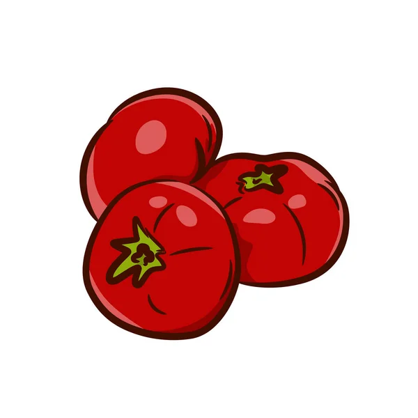Illustration Färska Tomater Isolerade Vit Bakgrund Bild Röd Tomat — Stock vektor