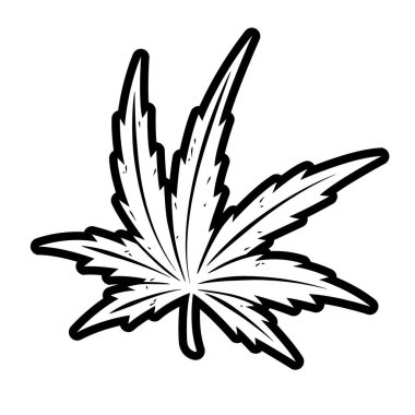 Kenevir çizimi beyaz arka planda izole edildi. Kenevir içeren ürünler için kullanılabilir.