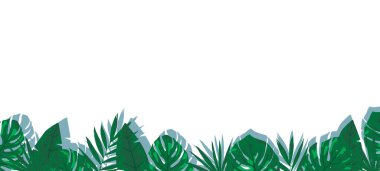 Beyaz arka planda tropikal eğreltiotu ve canavar şeklinde bir arka plan. Yaz havası. Yazıtlar için bir yer var.