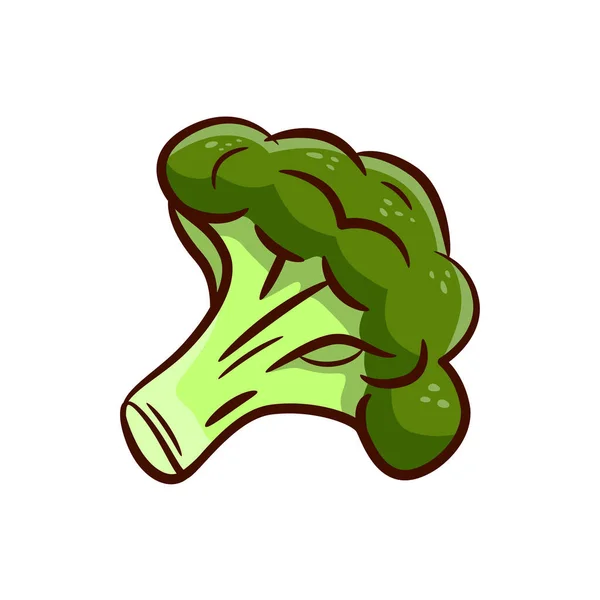 Beyaz Arka Planda Izole Edilmiş Taze Brokoli Çizimi Sağlıklı Taze — Stok Vektör