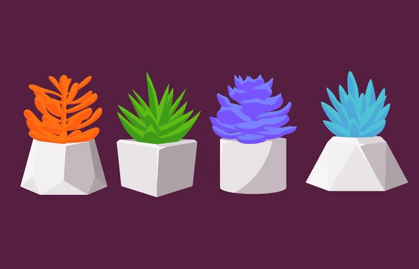 Набор Нескольких Суккулентов Разных Цветов Бетонных Горшках Домашние Цветы Рода — стоковый вектор