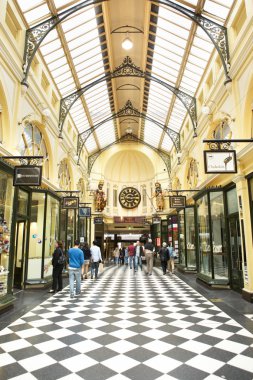 beyaz zemin üzerine sarımsak