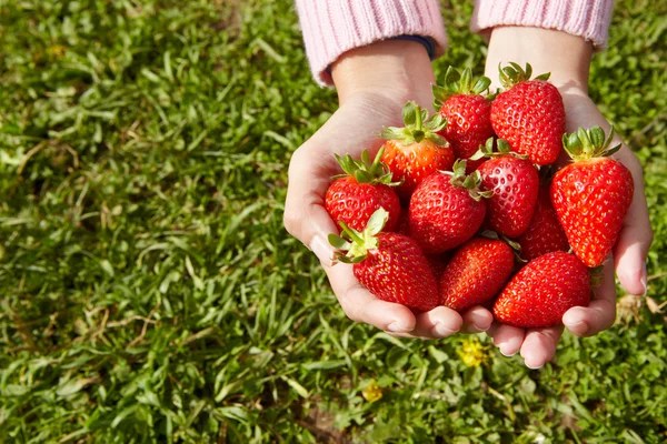 Fragola fresca — Foto Stock