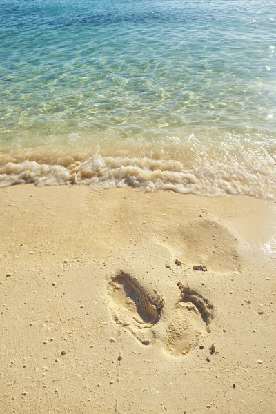 Sentiero sulla spiaggia — Foto Stock