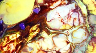 Soyut Sonsuz Renk Döngüleri ve Patlamalar Ayrıntılı Renkli Yüzey Boyaları Hipnotize Ediyor.