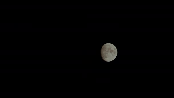 Luna Piena Che Muove Nella Notte — Video Stock