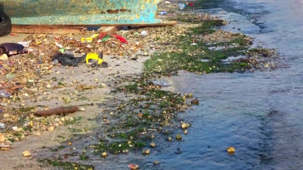 泳滩及污染废物 — 图库视频影像