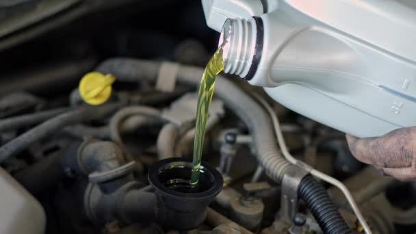 Het Gieten Van Verse Nieuwe Olie Auto Motor Repair Shop — Stockvideo