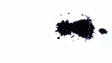 Siyah mürekkep damlaları ıslak kağıda dökülmüş.