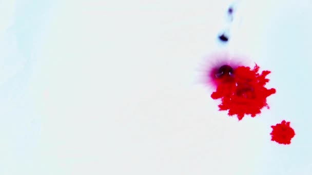 Gotas Tinta Roja Derramadas Sobre Papel Mojado — Vídeo de stock