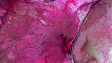 Soyut Renkli Sıvı Boya Arkaplanının Yakın Çekimi. 