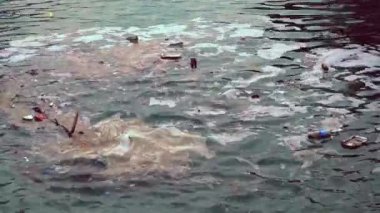 Deniz suyunda yüzen Marina Çöpü