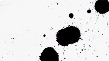 Beyaz Arkaplanda Siyah Mürekkep Damlaları