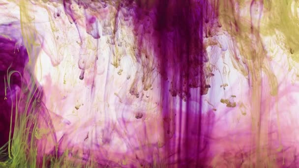 Zeer Mooie Abstracte Fractal Inkt Druppels Water Spreads Textuur Beelden — Stockvideo