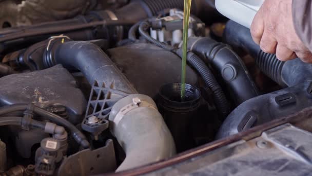 Carro Muito Bom Mecânico Derramando Novo Óleo Para Filmagem Motor — Vídeo de Stock