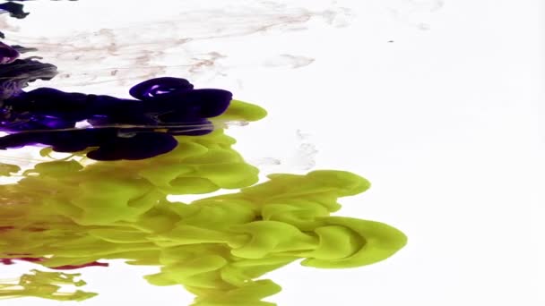 Very Nice Abstract Fractal Ink Drops Water Spreads Texture Footage — Video Stock