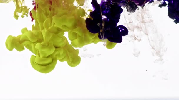 Çok Güzel Soyut Fraktal Mürekkep Damlaları Suya Doku Yayıyor — Stok video