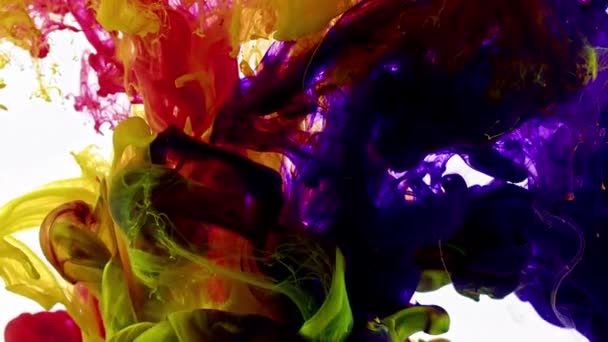 Abstract Ink Drops White Background Footage — Vídeo de Stock