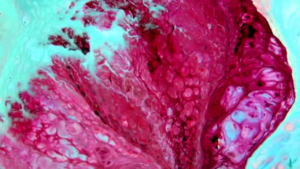Close Shot Abstract Colorful Fluid Paint Flowing Background Texture — Vídeo de Stock