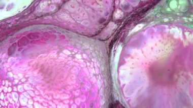 Renkli Kaos Mürekkebi Sıvı Türbülans Hareketinde Yayıldı.