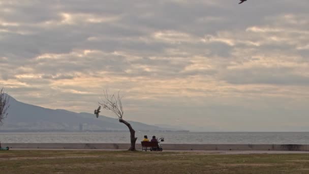 Famiglia Seduta Sulla Panchina Della Spiaggia Uccelli Volanti Filmato — Video Stock