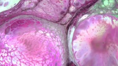 Akışkan Boyama Soyut Doku Yoğun Renkli Galaktik Canlı Renkler Doku Biçimi.