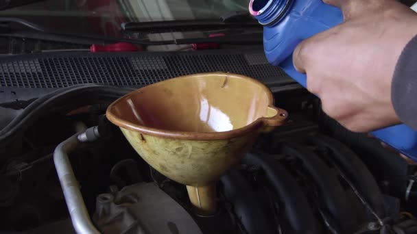 Araç Motoruna Yeni Temiz Sentetik Yağ Dökülüyor — Stok video