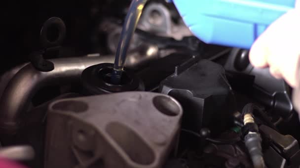 Tømming Oljesmøremiddel Bilmotoren – stockvideo