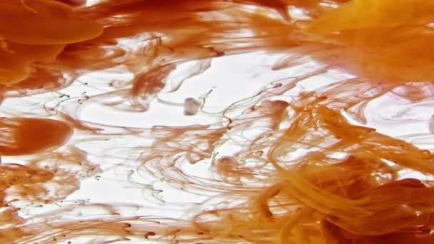 Tinta Abstrak Sebar Dalam Tekstur Air — Stok Video