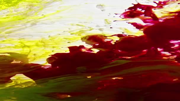 Difusión Tinta Abstracta Textura Del Agua — Vídeo de stock