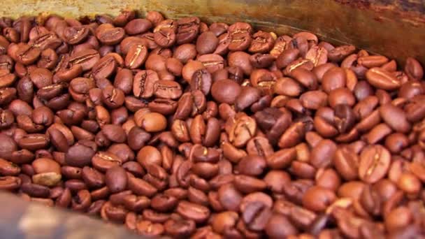 Frisch Geröstete Köstliche Kaffeebohnen — Stockvideo