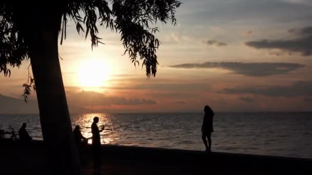 Silhouette Two Girlfriends Shooting Mobile Phone Wonderful Beach Sunset Footage — Stock Video