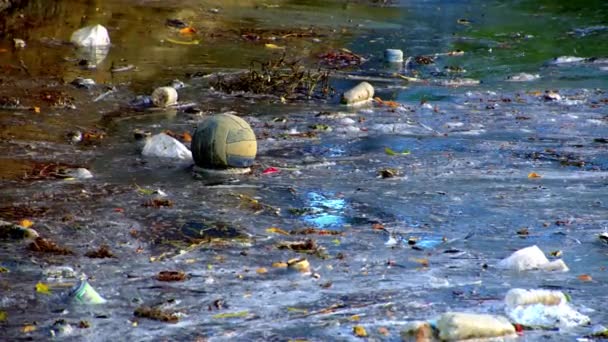 海洋におけるプラスチック汚染ゴミ海ごみの浮遊 — ストック動画