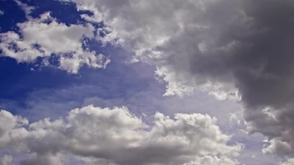 Tiszta Tiszta Kumulus Esőfelhők Mozgása — Stock videók