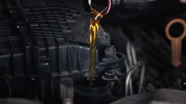 Εξαιρετική Μηχανική Χύνει Νέο Πετρέλαιο Στο Αυτοκίνητο Κινητήρα Πλάνα — Αρχείο Βίντεο