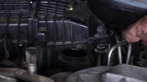 Excellent Mechanic Pours New Oil Car Engine Footage — Stock Video