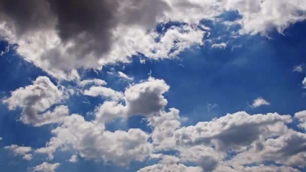 Helle Cumulus Regenwolken Ziehen Himmel — Stockvideo