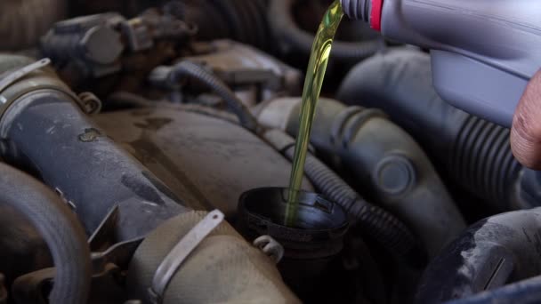 Oil Change Pouring New Mineral Oil Car Engine — Stock Video