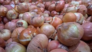 Organik ama Çürümüş Olgunlaşmış Soğan Yığını.
