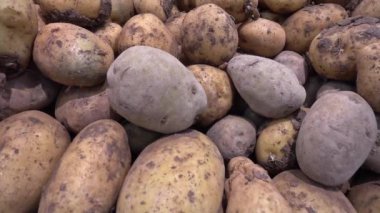 Organik Taze Olmuş Patates Yığını.