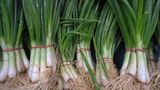 Pile Organic Fresh Ripe Green Onions Πλάνα — Αρχείο Βίντεο