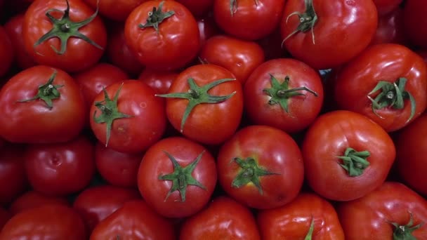 Pile Organic Fresh Ripe Tomato Footage — Stockvideo