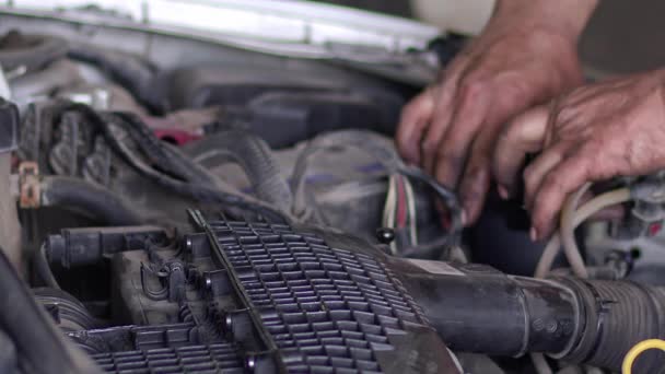 Car Mechanic Changing Fuel Filter Car Repair Shop Footage — Stok video