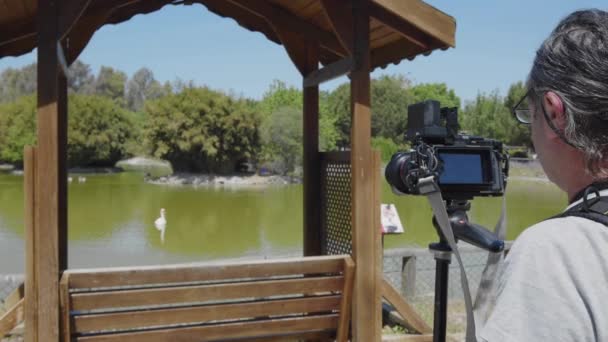 Nature Videographer Shooting Birds Green Lake Park Footage — Video Stock